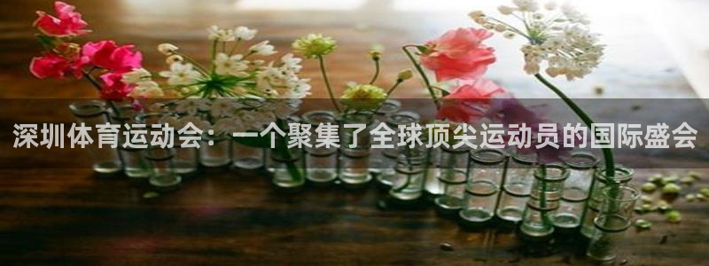 蚂蚁体育app下载安装官方免费版：深圳体育运动会：一个聚集了全球顶尖运动员的国际盛会