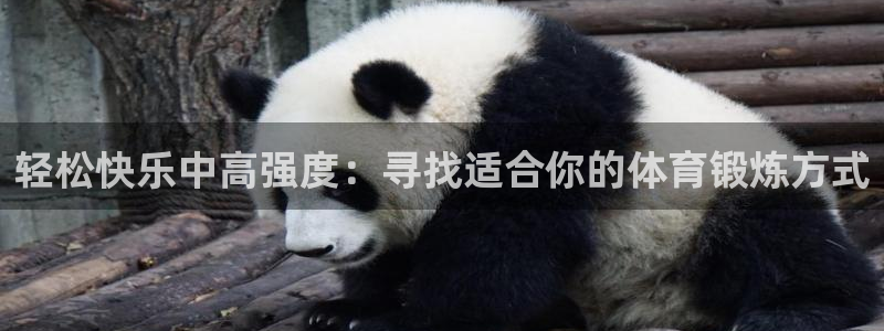 蚂蚁体育要钱吗：轻松快乐中高强度：寻找适合你的体育锻炼方式