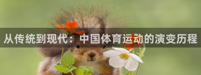 蚂蚁体育为什么现在没有直播了：从传统到现代：中国体育运动的演变历程