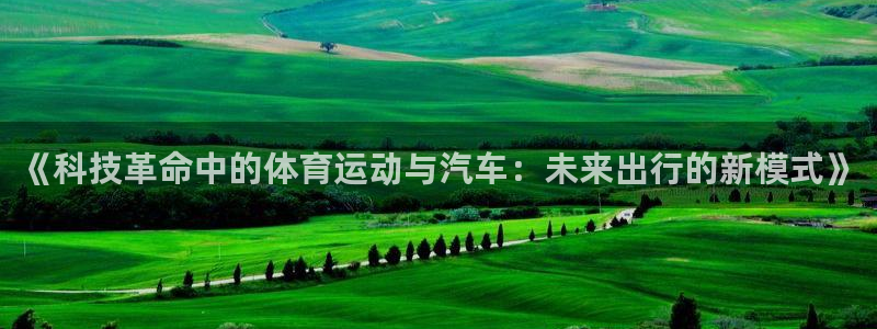 蚂蚁体育nba在线观看：《科技革命中的体育运动与汽车：未来出行的新模式》