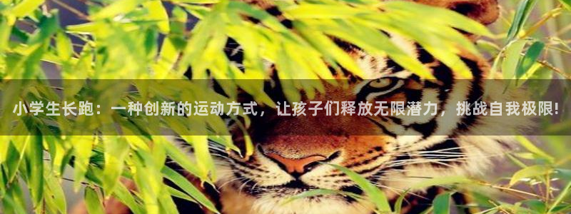 蚂蚁体育cba：小学生长跑：一种创新的运动方式，让孩子们释放无限潜力，挑战自我极限!