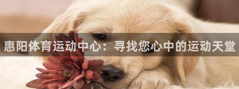 蚂蚁体育看球下载最新版本安装：惠阳体育运动中心：寻找您心中的运动天堂
