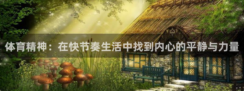 蚂蚁体育免费进入入口：体育精神：在快节奏生活中找到内心的平静与力量
