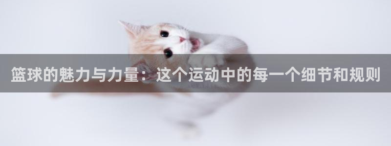 蚂蚁体育要付费观看吗?：篮球的魅力与力量：这个运动中的每一个细节和规则