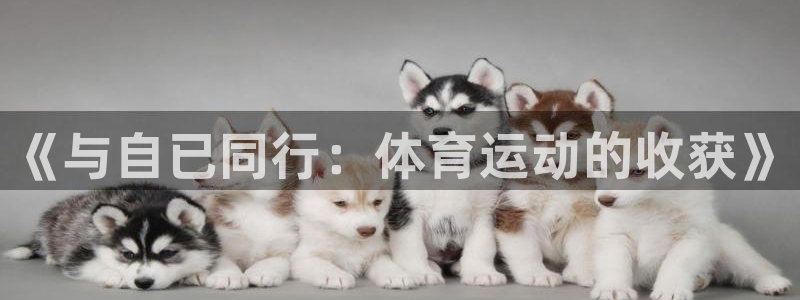 蚂蚁体育是正品吗：《与自已同行：体育运动的收获》
