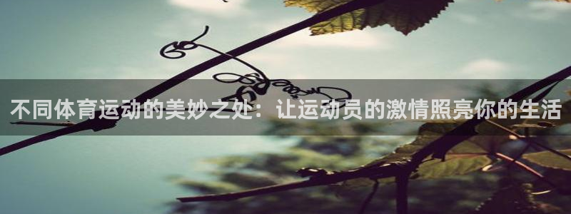 蚂蚁体育网页版登录：不同体育运动的美妙之处：让运动员的激情照亮你的生活