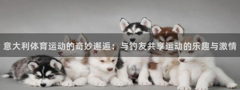 蚂蚁体育nba在线观看：意大利体育运动的奇妙邂逅：与钓友共享运动的乐趣与激情