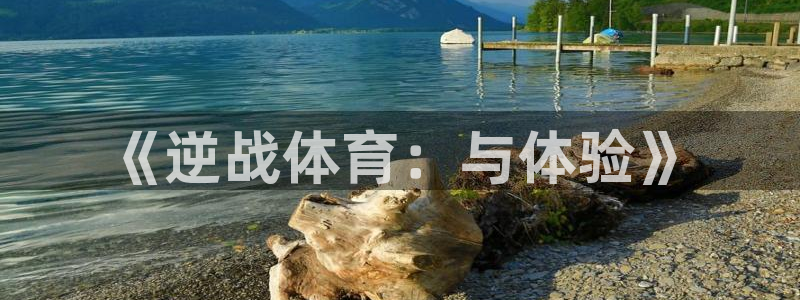 蚂蚁体育免费下载安装：《逆战体育：与体验》